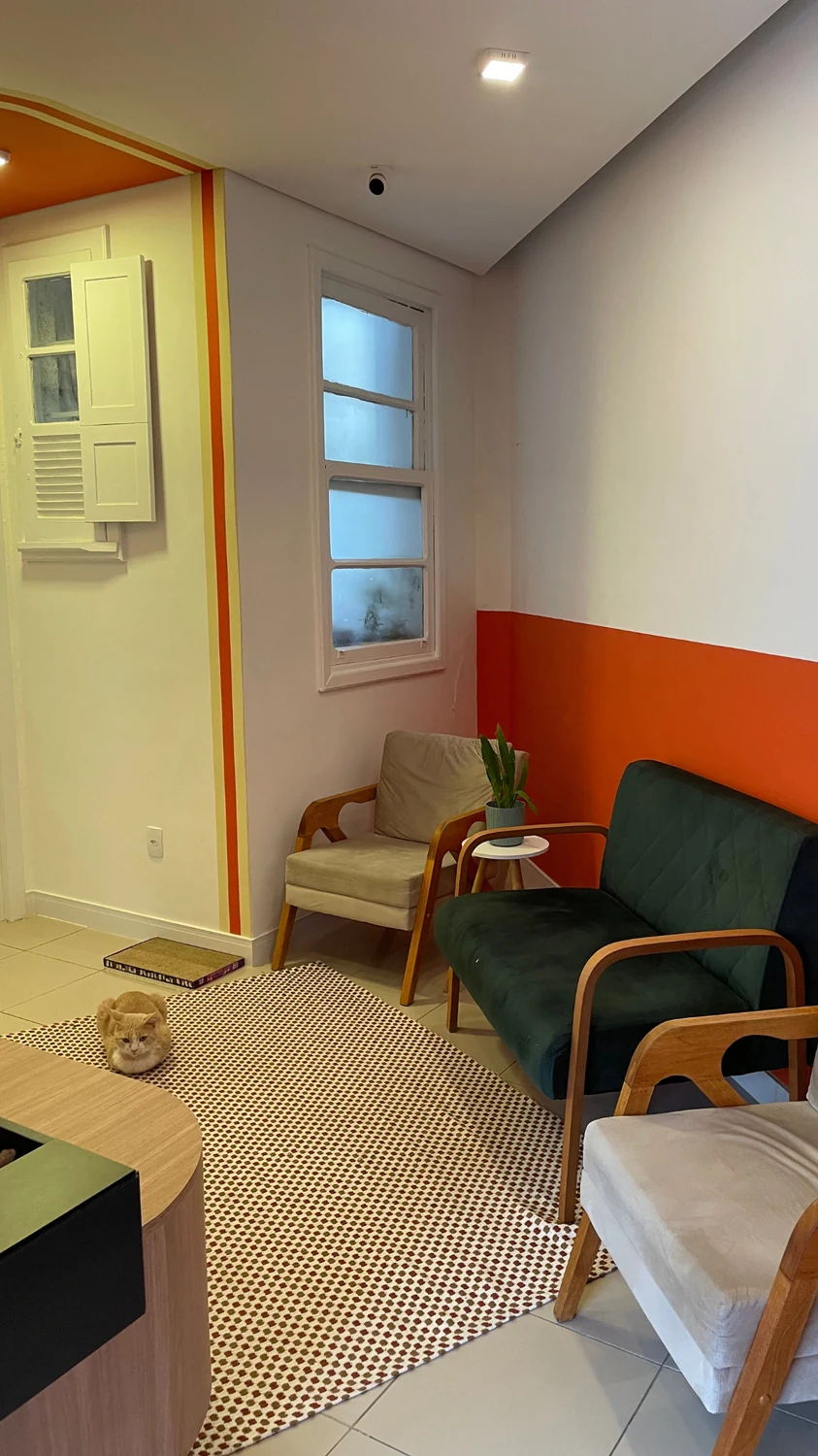 Sala de espera da clínica com ambiente felino