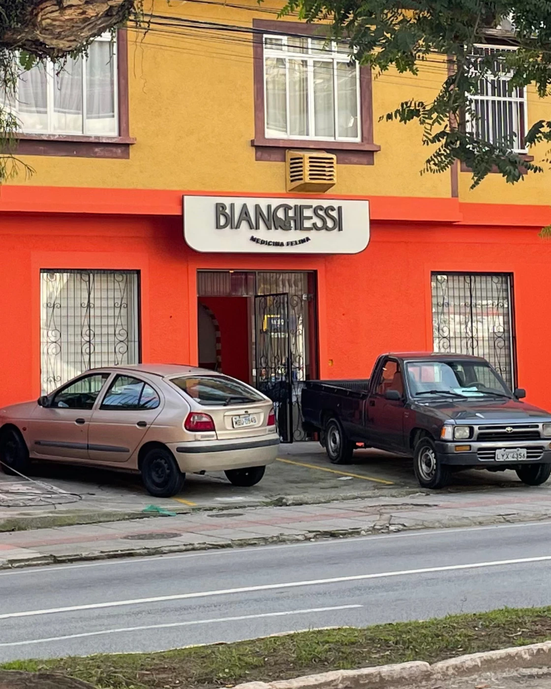 Fachada da Bianchessi Medicina Felina em Florianópolis